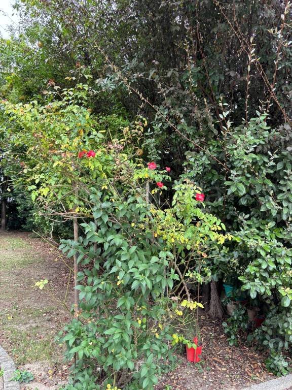 appartamento in vendita ad Argelato in zona Funo