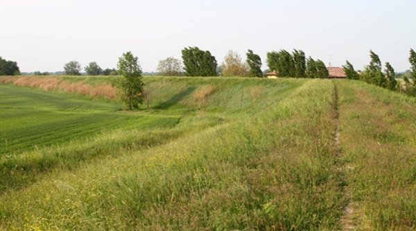terreno agricolo in vendita ad Argelato