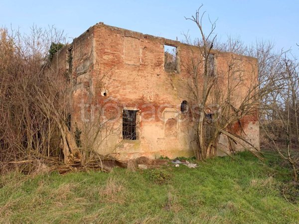 terreno agricolo in vendita a Bentivoglio