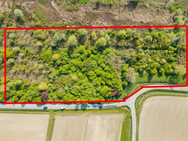 terreno agricolo in vendita a Bentivoglio