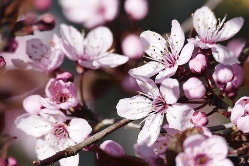 appartamento in vendita a Bologna in zona Savena