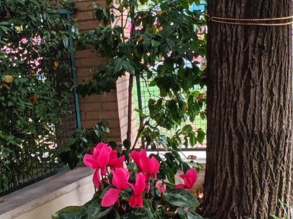 appartamento in vendita a Bologna in zona San Donato