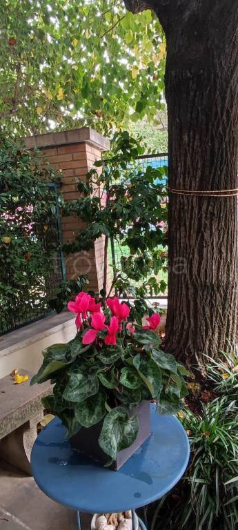 appartamento in vendita a Bologna in zona San Donato