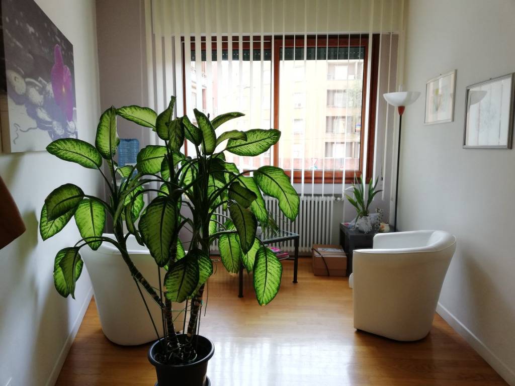 ufficio in vendita a Bologna in zona Saffi