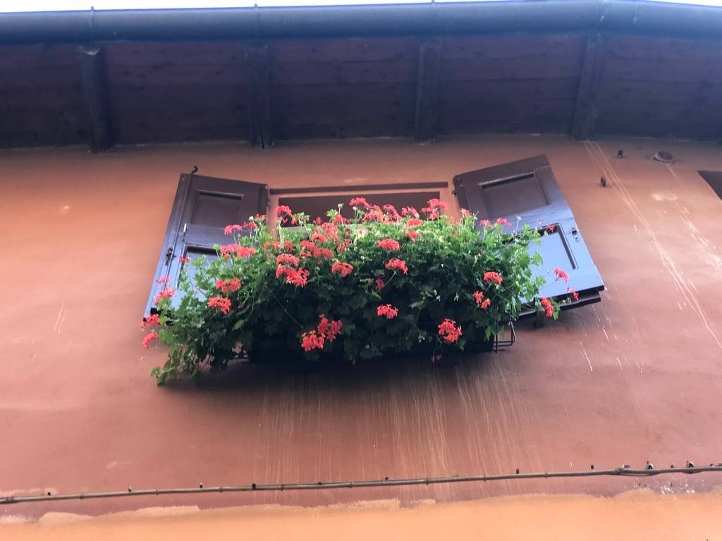 appartamento in vendita a Bologna in zona Santo Stefano