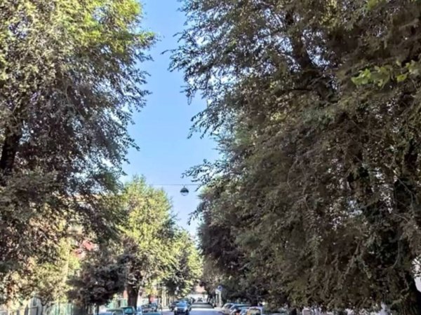 appartamento in vendita a Bologna in zona San Vitale