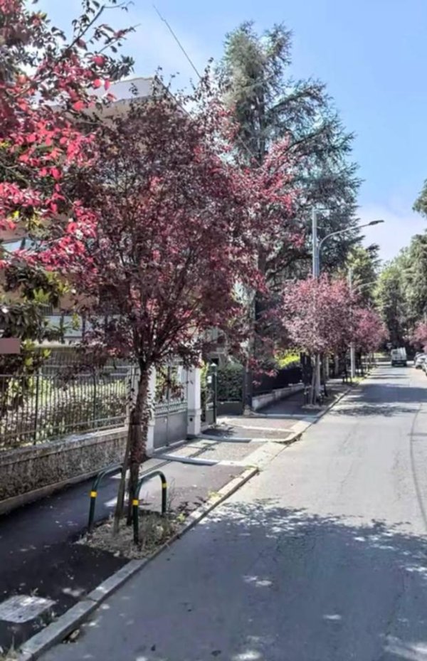 appartamento in vendita a Bologna in zona Colli