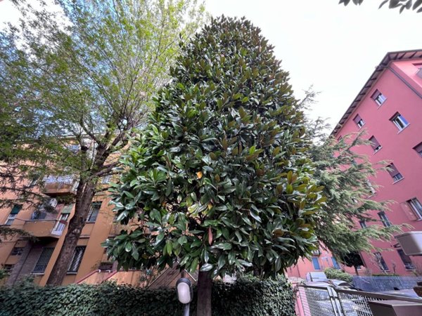 appartamento in vendita a Bologna in zona Murri