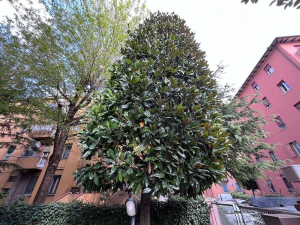appartamento in vendita a Bologna in zona Murri