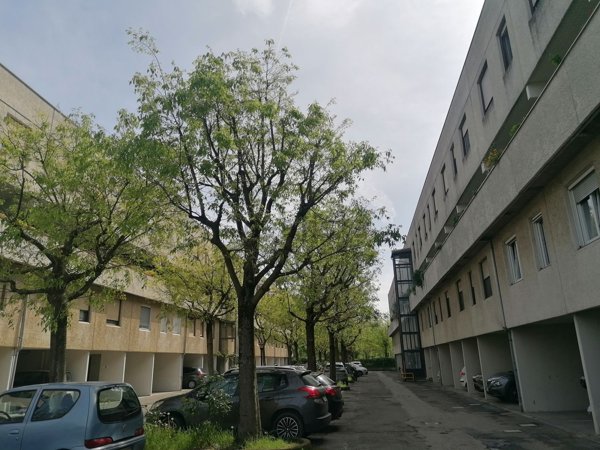 appartamento in vendita a Bologna in zona Santa Viola