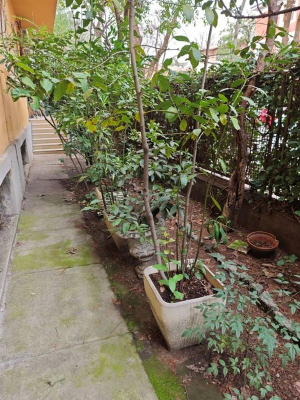 appartamento in vendita a Bologna in zona Murri