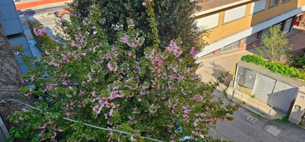 appartamento in vendita a Bologna in zona Barca