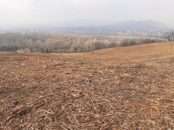 terreno agricolo in vendita a Bologna in zona Colli
