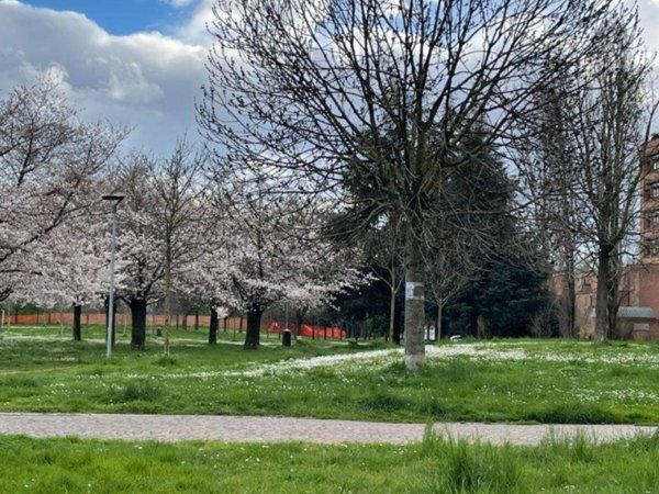 appartamento in vendita a Bologna in zona Corticella