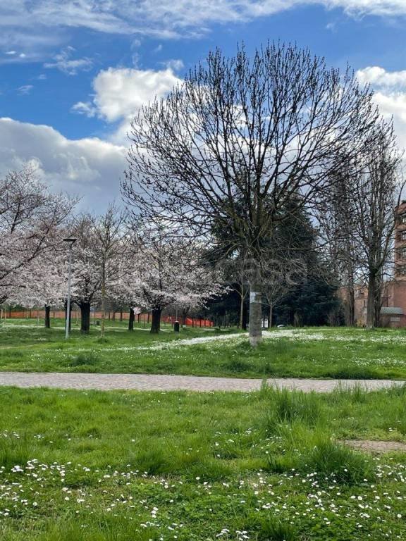 appartamento in vendita a Bologna in zona Corticella