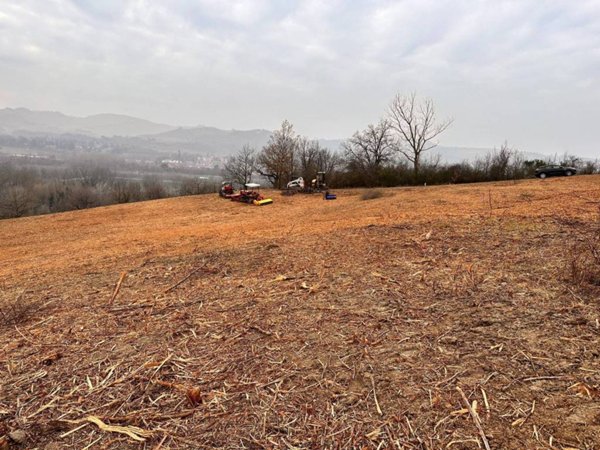 terreno agricolo in vendita a Bologna in zona Colli