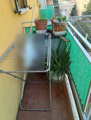 appartamento in vendita a Bologna
