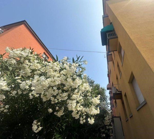 appartamento in vendita a Bologna in zona Fiera