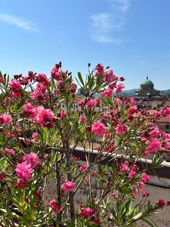 appartamento in vendita a Bologna in zona Bolognina