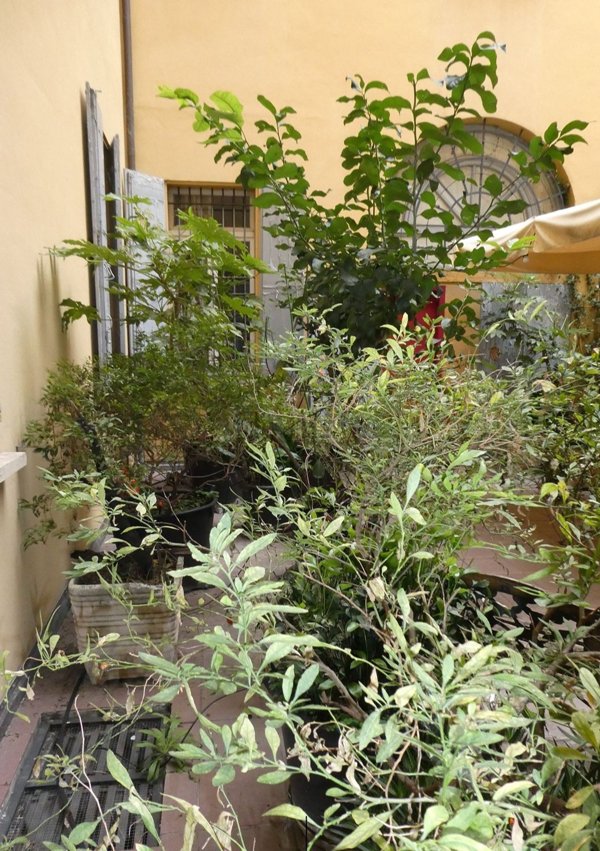 appartamento in vendita a Bologna in zona Centro Storico