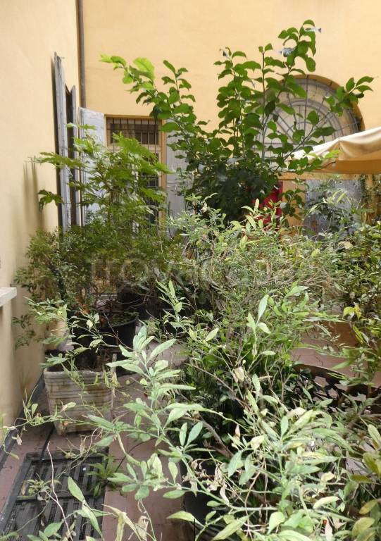 appartamento in vendita a Bologna in zona Centro Storico