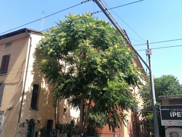 appartamento in vendita a Bologna in zona Centro Storico