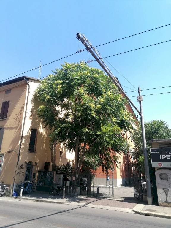appartamento in vendita a Bologna in zona Centro Storico