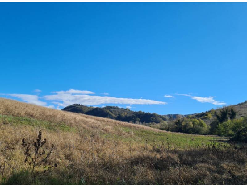 terreno agricolo in vendita a Bologna in zona Colli