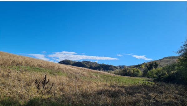 terreno agricolo in vendita a Bologna in zona Santo Stefano