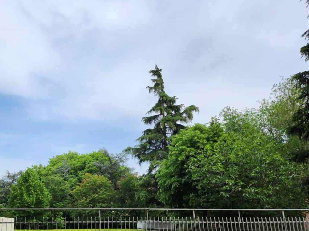 appartamento in vendita a Bologna in zona Santa Viola