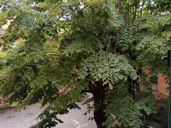 appartamento in vendita a Bologna in zona Saragozza