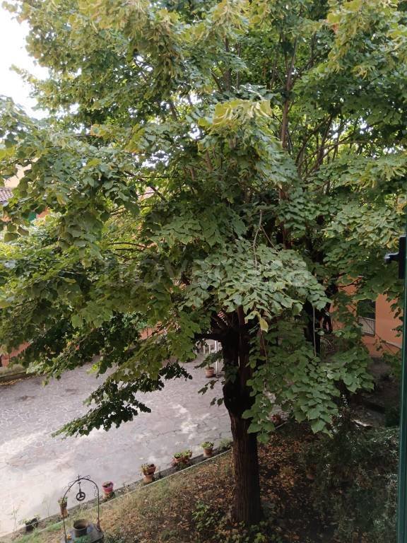 appartamento in vendita a Bologna in zona Saragozza
