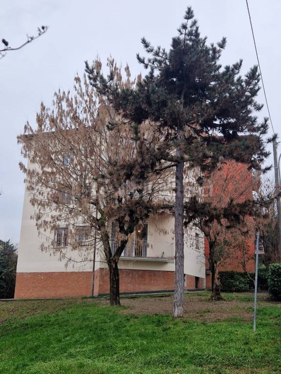 appartamento in vendita a Bologna