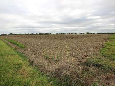 terreno agricolo in vendita a Bologna