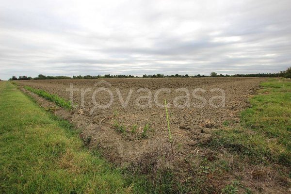 terreno agricolo in vendita a Bologna in zona Aeroporto