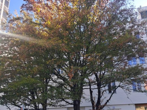 appartamento in vendita a Bologna in zona Borgo Panigale