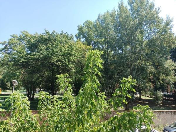 appartamento in vendita a Bologna in zona Centro Storico