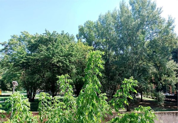 appartamento in vendita a Bologna in zona Centro Storico