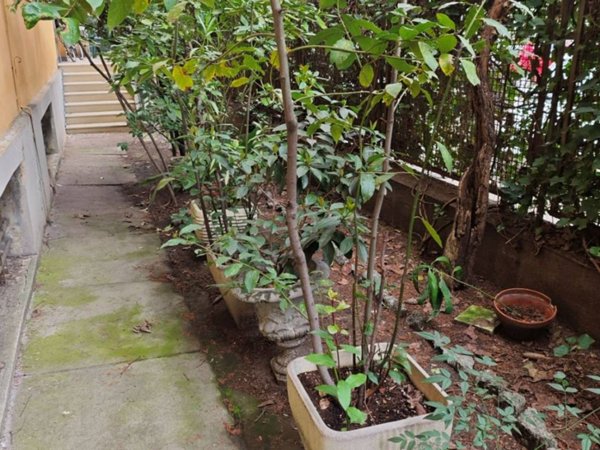 appartamento in vendita a Bologna in zona San Vitale
