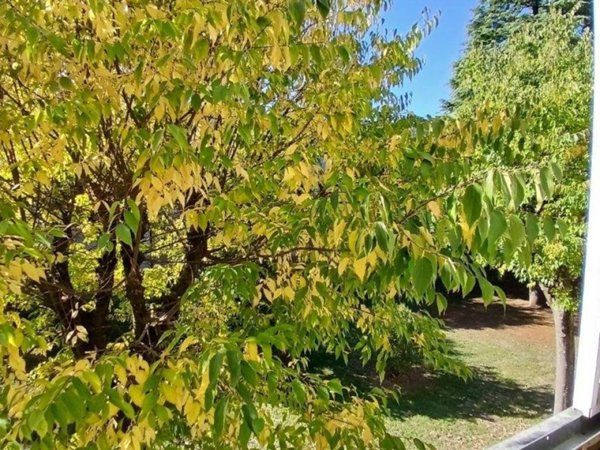 appartamento in vendita a Bologna in zona Borgo Panigale