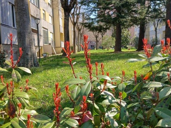 appartamento in vendita a Bologna in zona Borgo Panigale