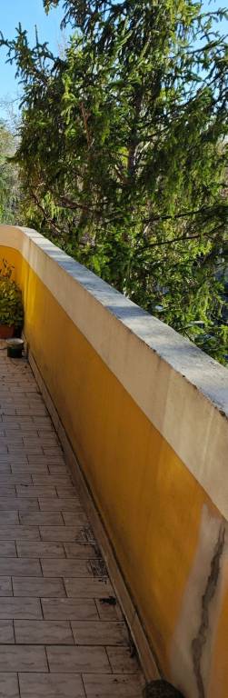 appartamento in vendita a Bologna in zona Murri