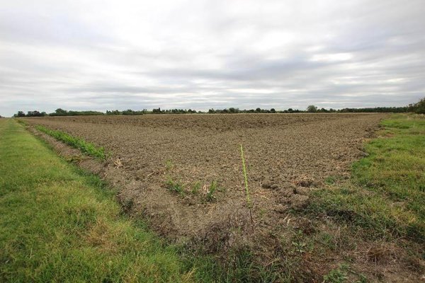 terreno agricolo in vendita a Bologna in zona Aeroporto