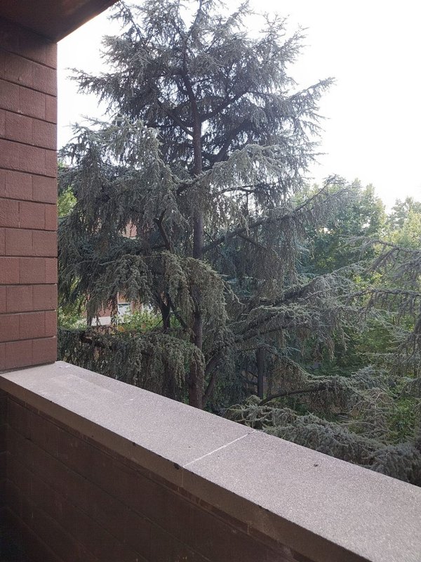 appartamento in vendita a Bologna in zona San Donato