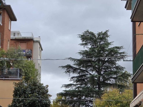 appartamento in vendita a Bologna in zona Savena