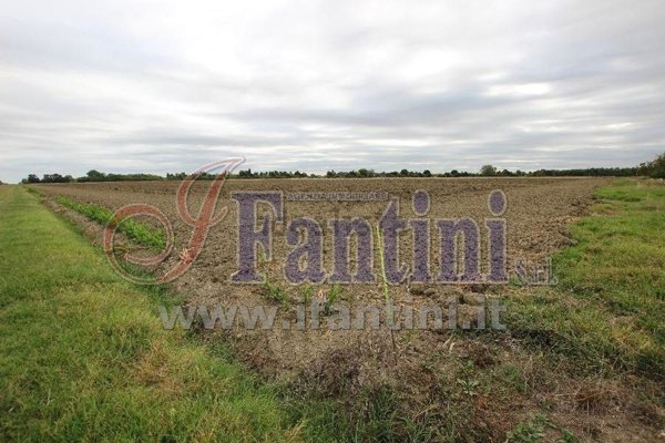 terreno agricolo in vendita a Bologna in zona Aeroporto