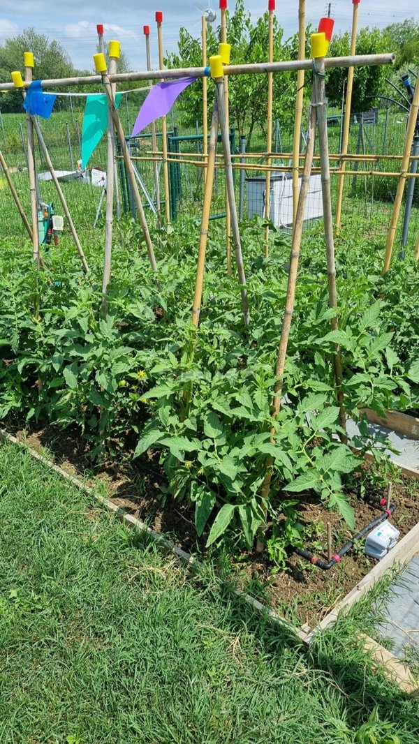 locale di sgombero in vendita a Bologna