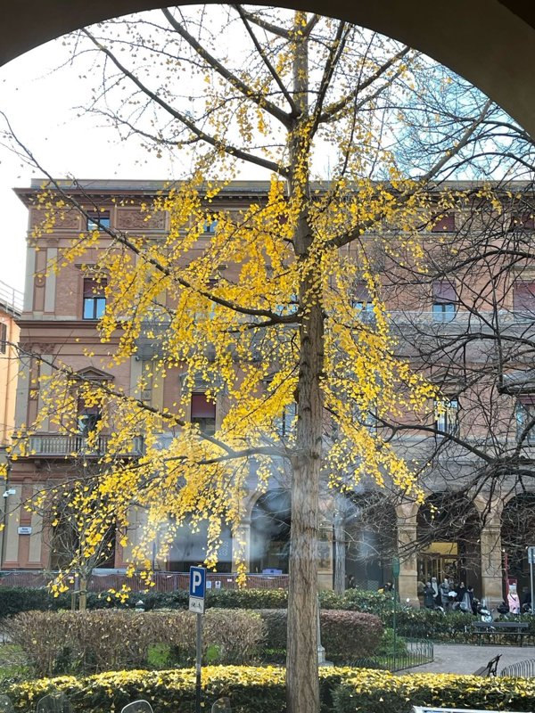 ufficio in vendita a Bologna in zona Santo Stefano