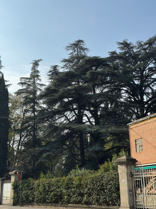 appartamento in vendita a Bologna in zona Borgo Panigale