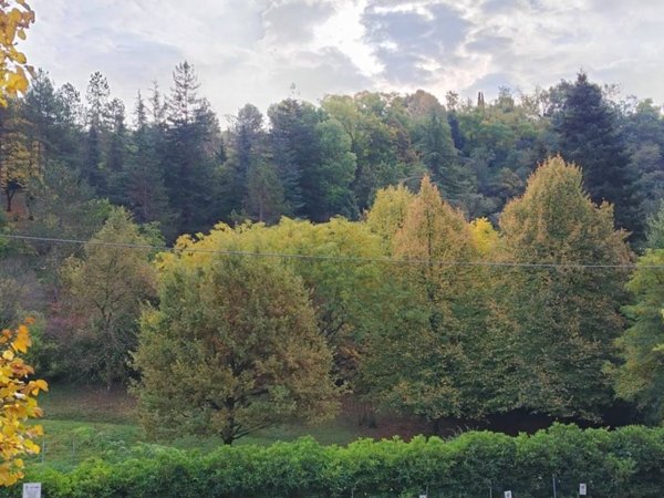 appartamento in vendita a Bologna in zona Colli